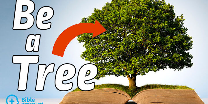 Be a tree scripture memory with Paul Van Allen