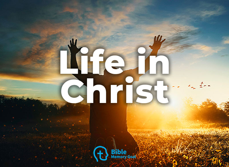 Bible verses about the Christian life