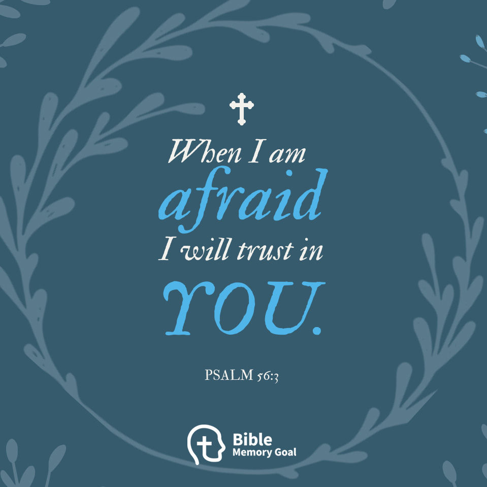 Psalm 56:3 Bible verse