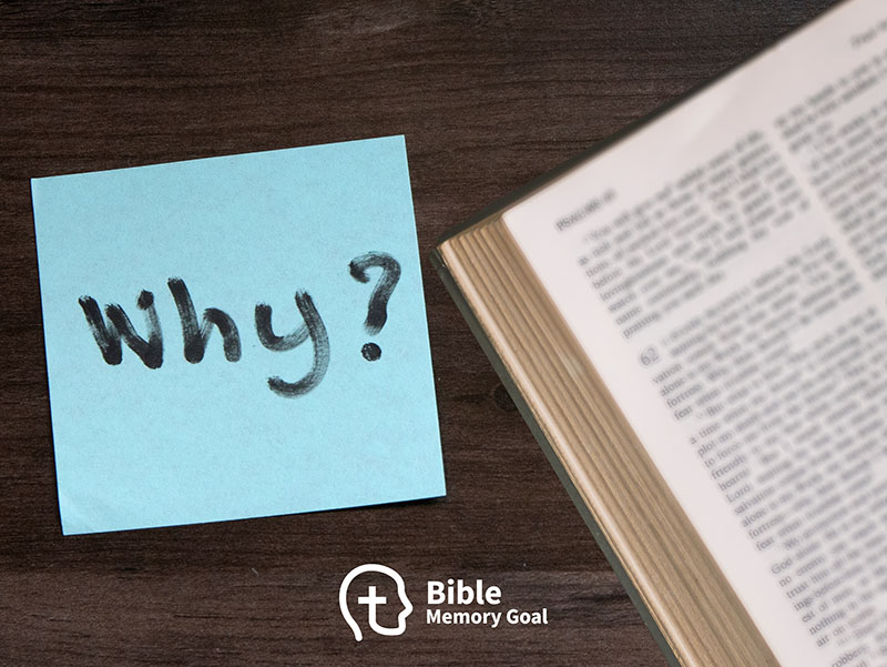 Start with why you memorize